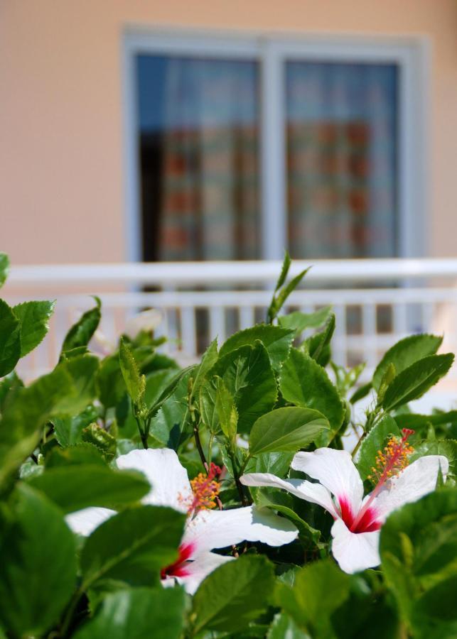 Diagoras Hotel All Inclusive Фалираки Экстерьер фото
